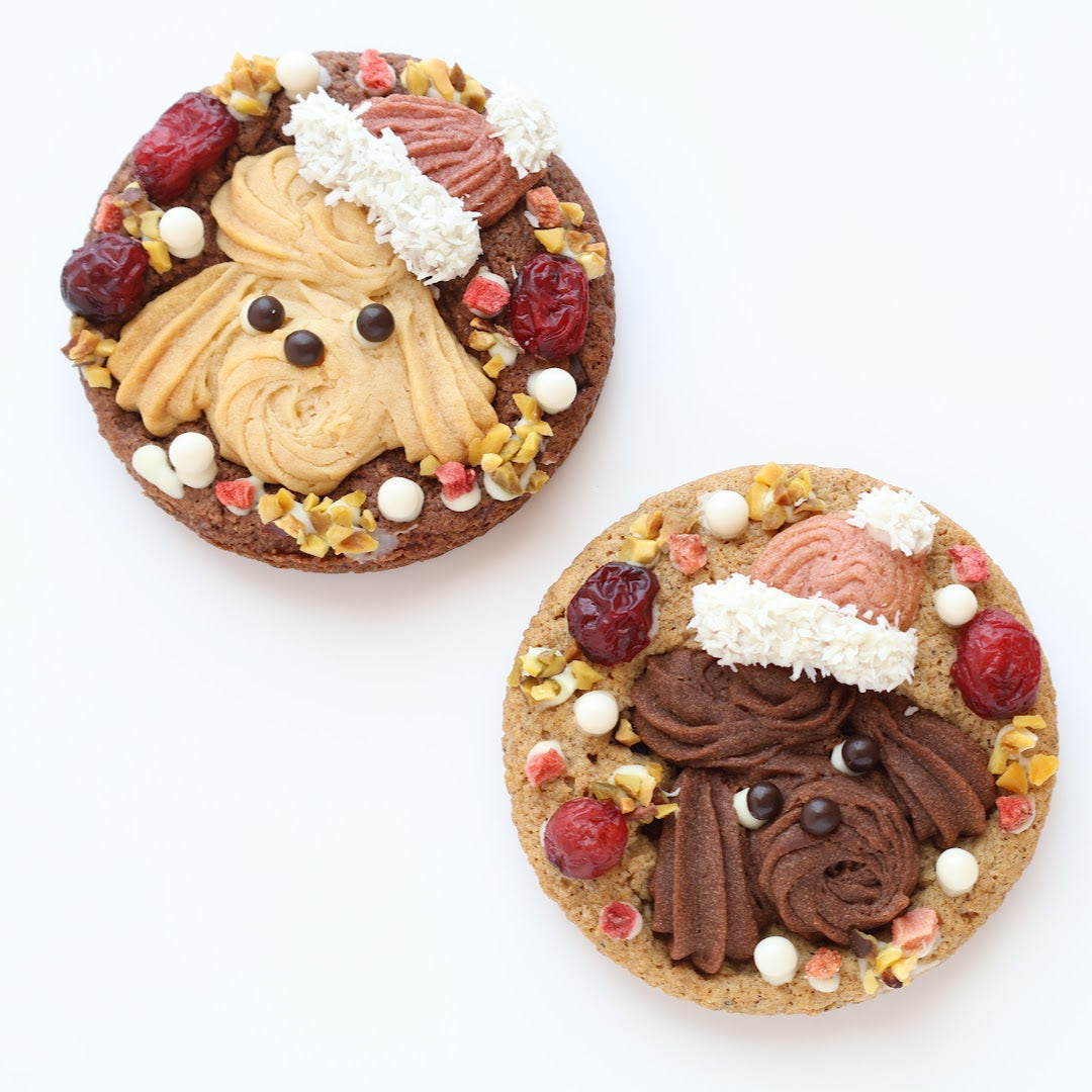 お待たせしました☆クリスマス限定のトイプーサンタが登場！