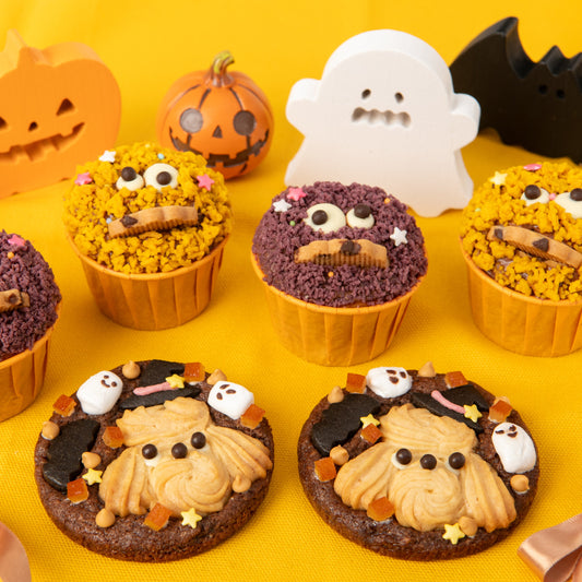 🎃Halloween Special Set 2026🎃　