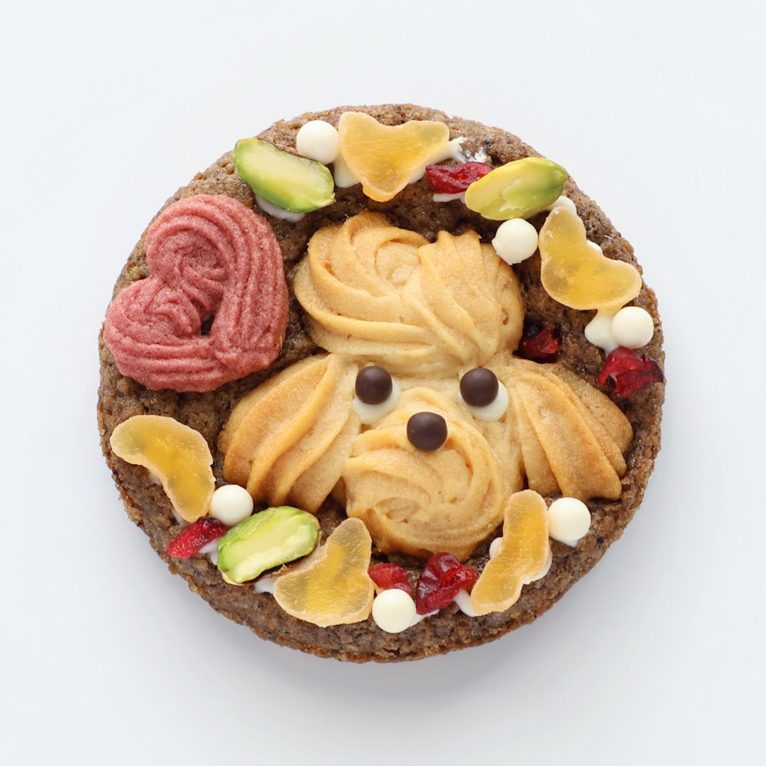 夏を味わうクッキーセット【S】 – COOKIE MACCHIART